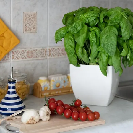 Hébergement de vacances Casa Mamma Margherita